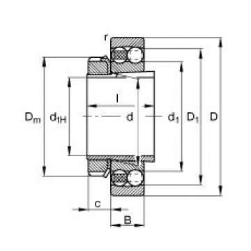 Rodamiento 1318-K-M-C3 + H318 FAG