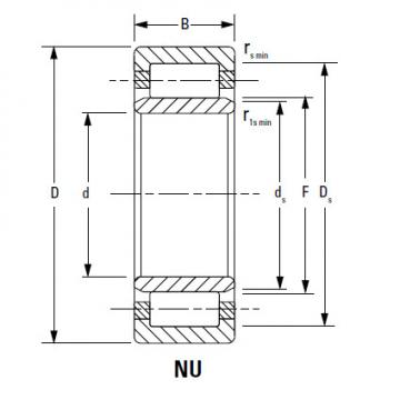 Bearing NJ2236EMA