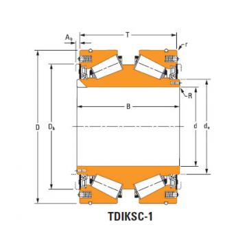 Bearing nP819331 nP858984