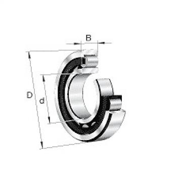 NU2206-E-M1-C3 FAG Cylindrical roller bearing