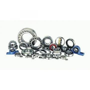 FAG Bearing 6007.2ZR