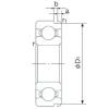 Rodamiento 6205N NACHI