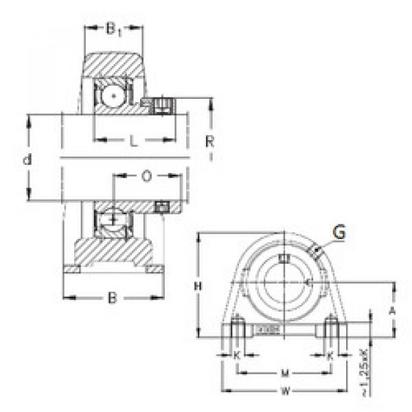 Rodamiento PSHE60-N NKE #1 image